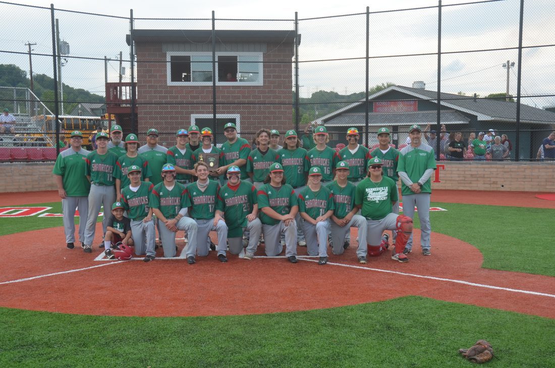 Barnesville, Fredericktown are paired in DIII at Mount Vernon News